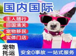 栎社机场邮寄国际宠物托运 【国
